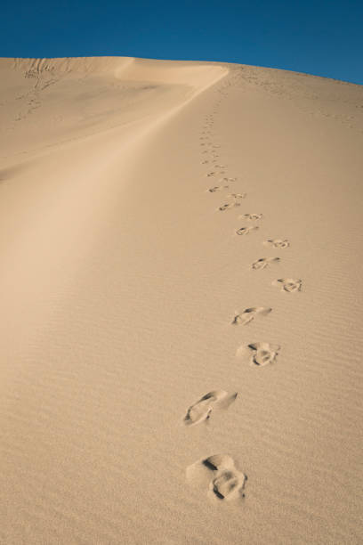 top aerial view of footsteps footprints on sand dunes in desert