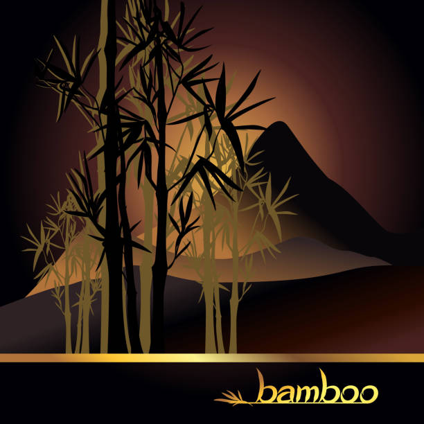 традиционный восточный векторный чернильный пейзаж с бамбуком, восходом солнца, закатом, горными вершинами на темном фоне. векторные силуэ - teachings stock illustrations