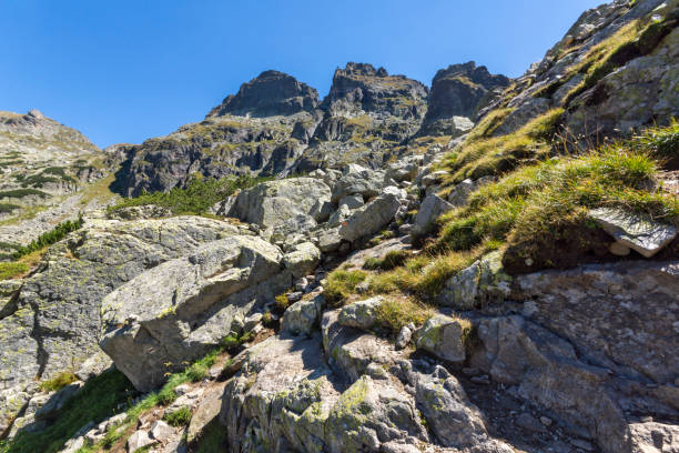 istock Landscape from hiking trail for Malyovitsa peak, Rila Mountain 1248948574