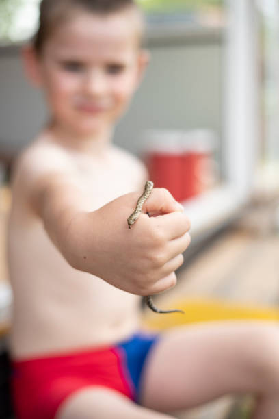 istock Lover Of The Wildlife 1248951818