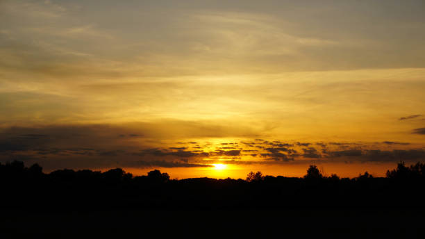 istock sunset yellow sky, beautiful summer warm landscape 1248952489