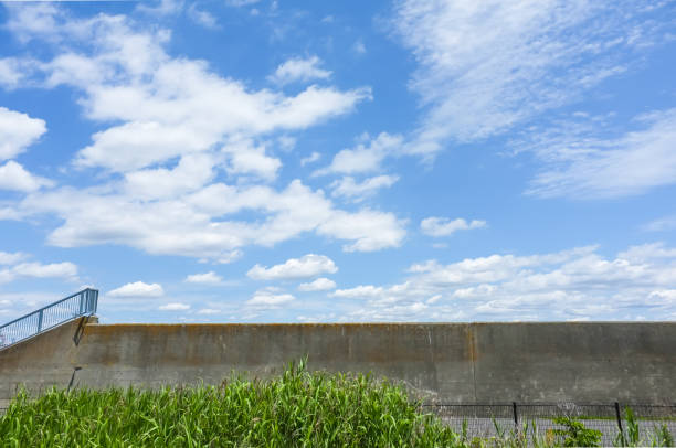 Seawall and weed against blue sky Seawall and weed against summer blue sky. groyne stock pictures, royalty-free photos & images