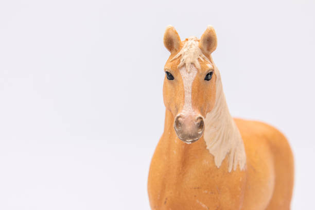 istock horse isolated on a white background 1248958572