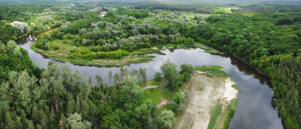 istock Aerial panorama with river zigzag through green forest. 1248959774