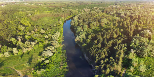 istock Panorama of river with green forest. 1248961246