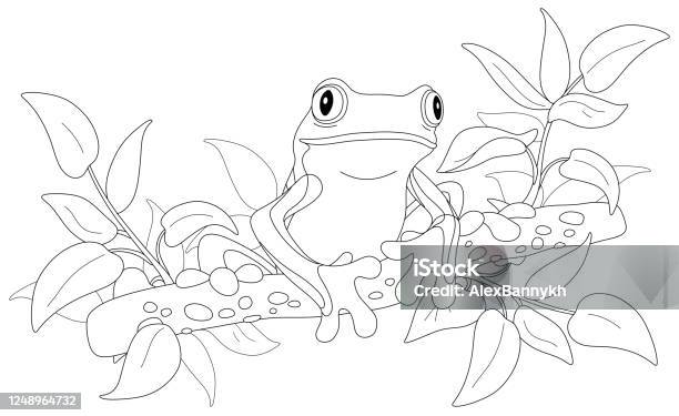 Funny Tropical Treefrog On A Branch Stock Illustration - Download Image Now - Coloring, Frog, Tree