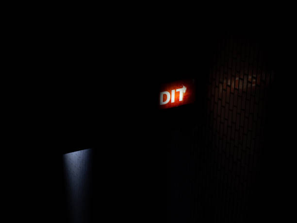 istock Night light neon french word say 
