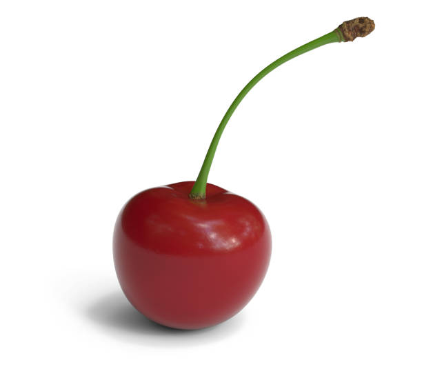 190+ Queen Anne Cherries Stock Photos, Pictures & Royalty-Free Images -  iStock
