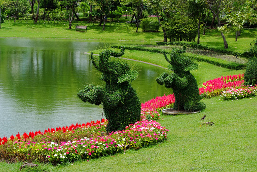 Topiary gardens. elephants created from bushes at green animals. landscape design. Grass figure of elephants, topiary figure