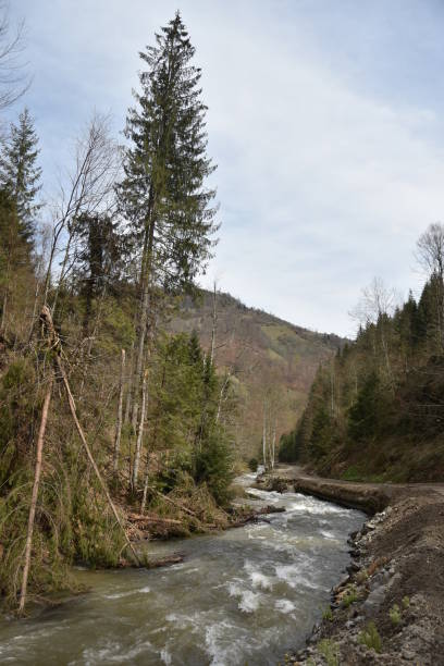 istock Romania,Bistrita,Anies Valley 2018,river 1248969964