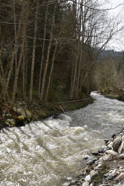 istock Romania,Bistrita,Anies Valley 2018,river 1248970000