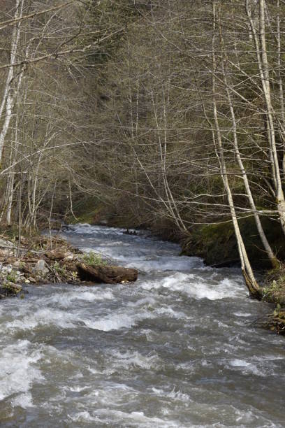 istock Romania,Bistrita,Anies Valley 2018,river 1248970047