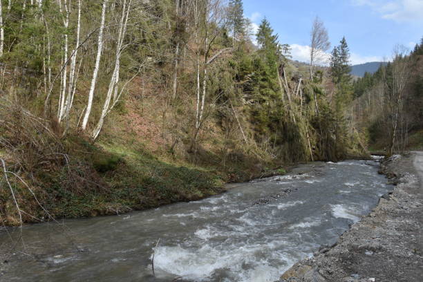 istock Romania,Bistrita,Anies Valley 2018,river 1248970083