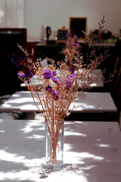 Dried plant and dried flower in the glass
