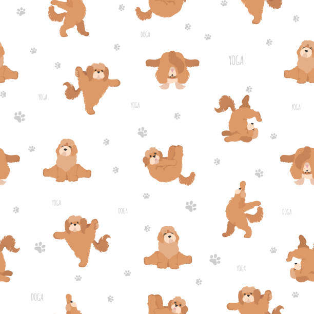 Yoga dogs poses and exercises seamless pattern design. Cockapoo clipar Yoga dogs poses and exercises seamless pattern design. Cockapoo clipart. Vector illustration cocker spaniel poodle mix stock illustrations