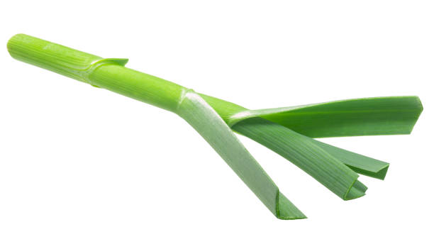 istock Green garlic stalk a.sativum, paths 1248970845