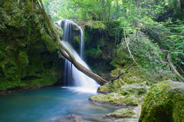 istock Beautiful waterfall with clean water 1248974262