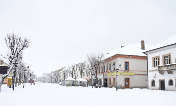 istock Bistrita,Romania, market 1248975362