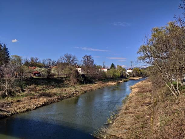 istock Bistrita, Bistrita River and the bridge at Codrisor,2020 1248976671