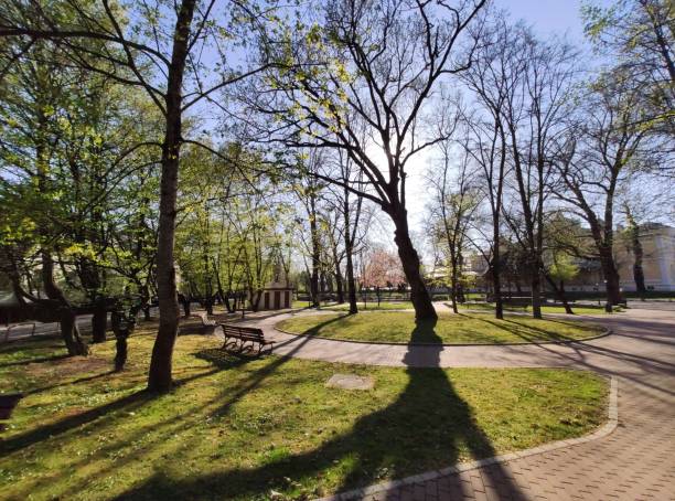istock Romania ,Bistrita ,2020,april,empty park in the city  ,empty city in quarantine 1248976905