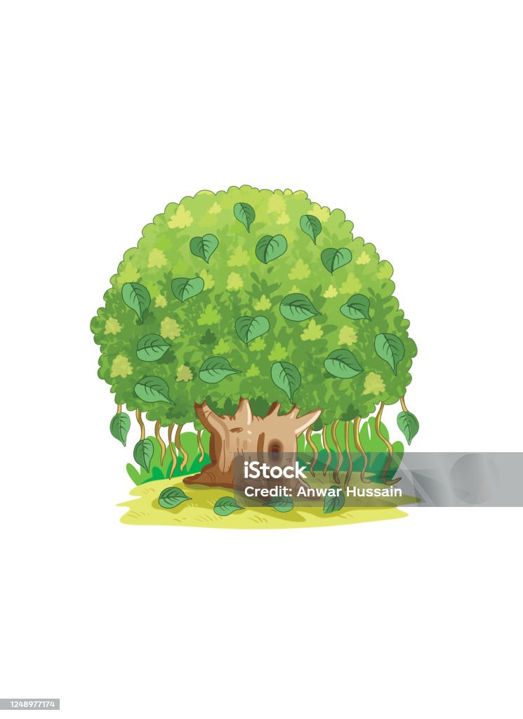Banyan Tree Stock Illustration - Download Image Now - Banyan Tree,  Rainforest, Ancient - iStock