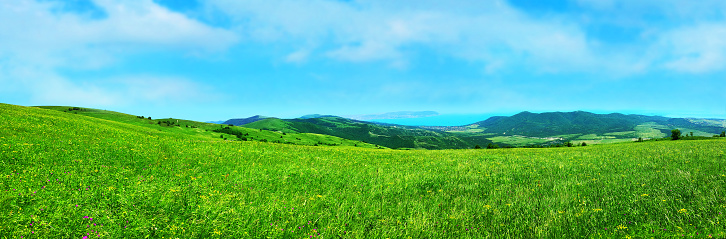 Panorama summer flower meadow in the mountains, tourism. Scenery view ocean. Beautiful sea view landscape. Fresh green rural meadows on a sunny day with blue sky