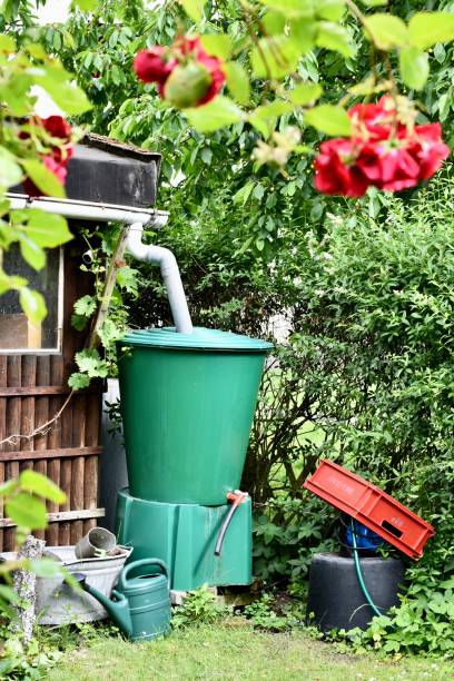 istock Eco friendly back garden with rain water harvesting equipment 1248978678