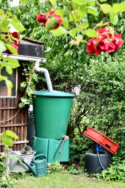 Eco friendly back garden with rain water harvesting equipment stock photo