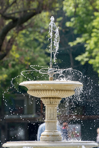 Fountain in summer