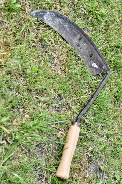 istock Vintage gardening tools and equipment 1248979813