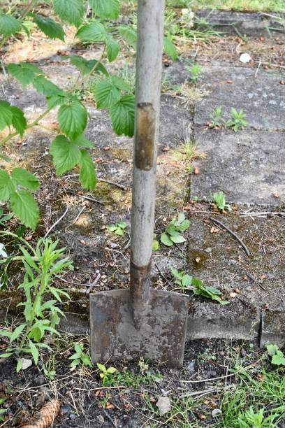 istock Garden shovel or spade in the soil 1248979937