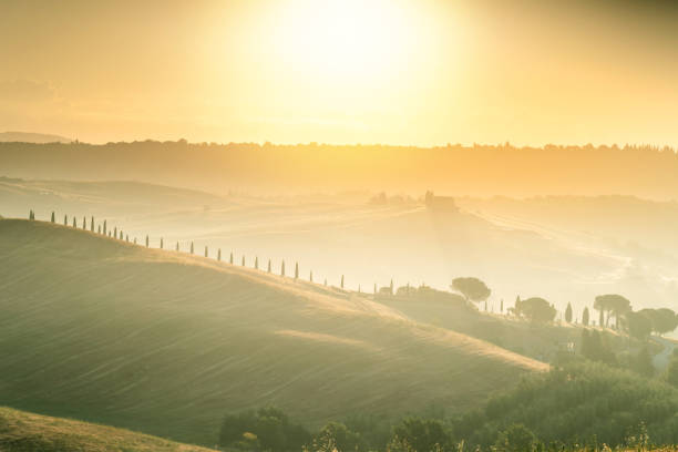 paesaggio panoramico della toscana con dolci colline e valli in luce mattutina dorata, val d'orcia, italia. - val dorcia foto e immagini stock
