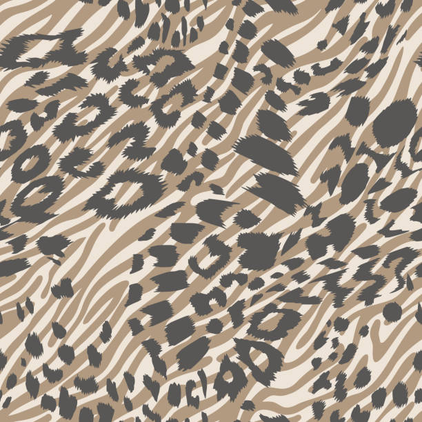 ilustrações, clipart, desenhos animados e ícones de linhas listradas de zebra mista e pele manchada de leopardo estampam a textura perfeita. fundo animal. ornamento de linhas curvas abstratas. formas geométricas. bom para têxtil, tecido, design de moda. - parte do corpo animal