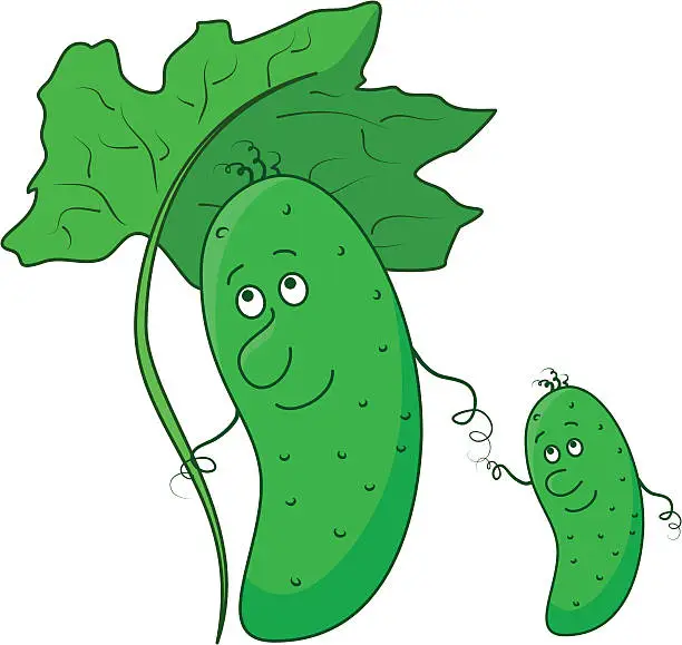 Vector illustration of Cucumber, parent and baby