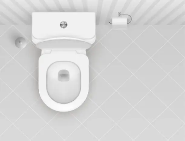 Vector illustration of Lavatory, cloakroom, washroom with flush toilet bowl, brush, paper holder realistic illustration.