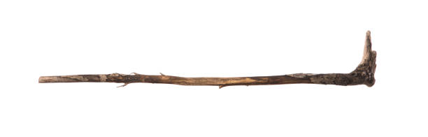 istock ancient shepherd wooden stick isolated on white background 1248991996