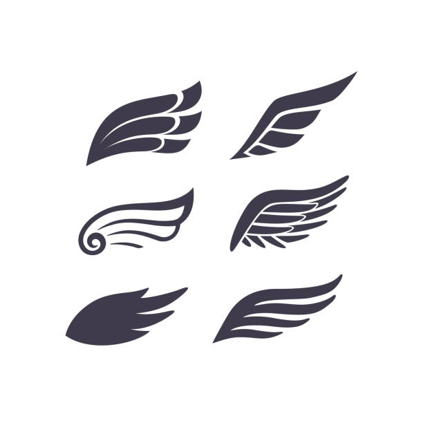 vings silhouetten vektor-set. stilisierte elemente für logo-, etiketten- und abzeichendesigns - gliedmaßen stock-grafiken, -clipart, -cartoons und -symbole