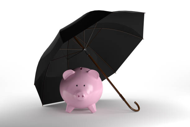 пигги банк с концепцией зонтика - security umbrella rain currency стоковые фото и изображения
