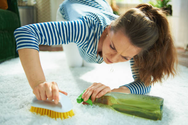 femme moderne concentrée avec l’agent de nettoyage et le tapis propre de brosse - carpet caucasian domestic room home interior photos et images de collection