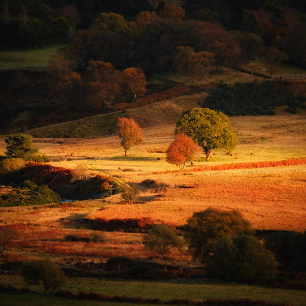 istock Wicklow mountains autumn scene 1248999288