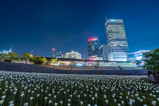 SEOUL, SOUTH KOREA - JUN 29, 2018 : LED rose field at Dongdaemun Design Plaza (DDP) and city skyline view at night is one of the top tourist attraction in Seoul.