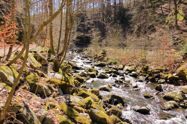 istock Cascades on a clear creek in a forrest 1249000179
