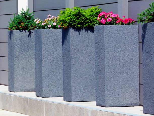 istock textured gray stone planters with pink carnations and various small green shrubs 1249003477