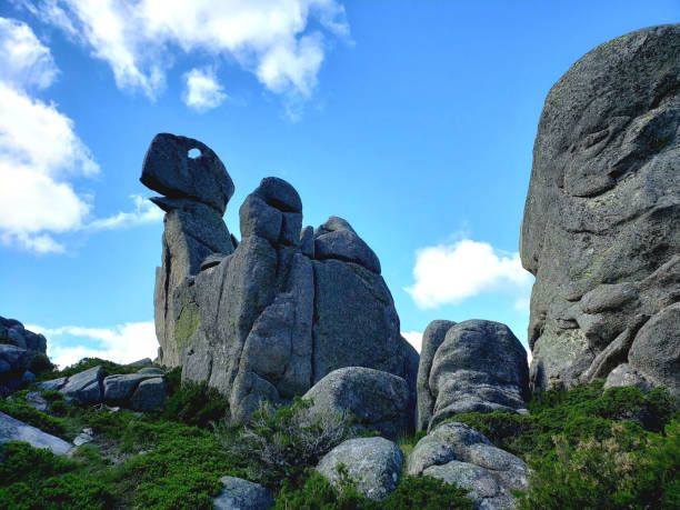 istock curious stones with dinosaurs head shape during a hike 1249005733
