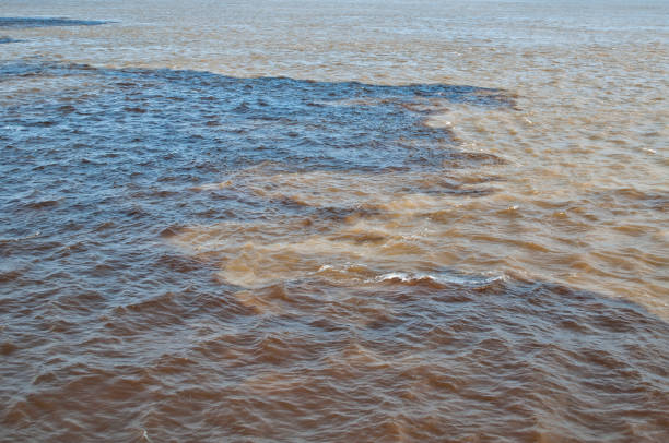 istock Meeting of waters in the Amazon 1249006918