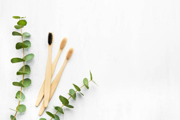 istock Flat lay composition with eco-friendly bamboo toothbrushes and eucalyptus branch on white background. Zero waste concept. Top view, copy space 1249007279