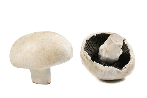 Champignon mushrooms isolated on white background. Close-up.