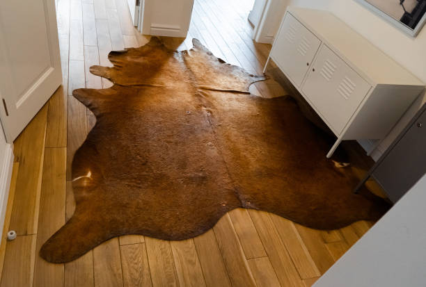 A cow skin carpet in industrial-styled corridor as addition to modern interior. Reddish Brown Cowhide rug with silky coat on a wooden floor as luxuriously home decoration with rustic or western charm Reddish Brown Cowhide rug with silky coat on a wooden floor as luxuriously home decoration with rustic or western charm. A cow skin carpet in industrial-styled corridor as addition to modern interior cowhide stock pictures, royalty-free photos & images