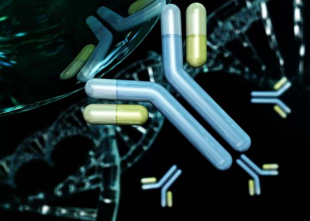 istock antibodies, immunoglobulins, the immune system 1249012006