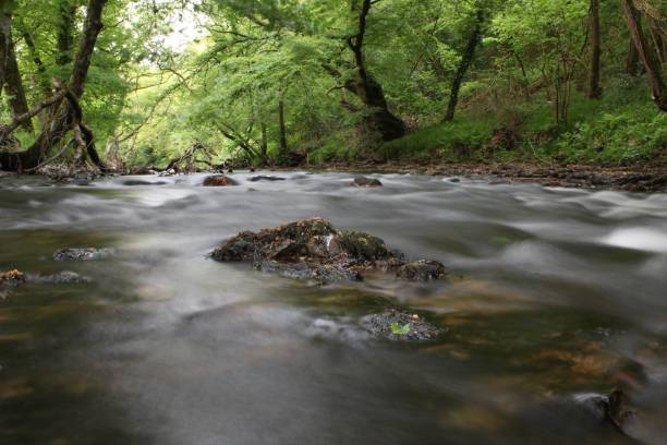 istock Slow Shutter Speed of a river in Devon England. 1249013118